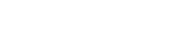 Trezor Black Friday Logo